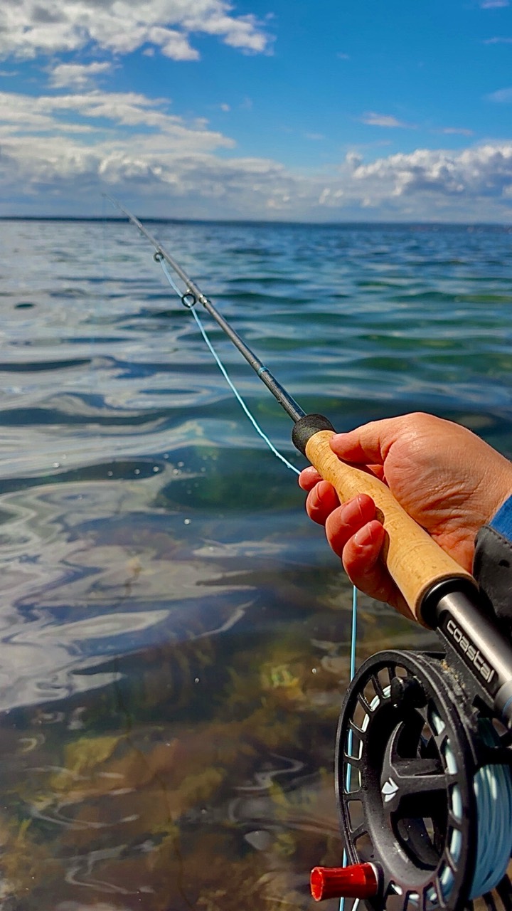 Holding a fly rod over clear coastal water.